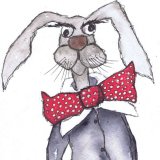 HEAD HARE h3305