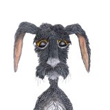 CONFUSED HARE
