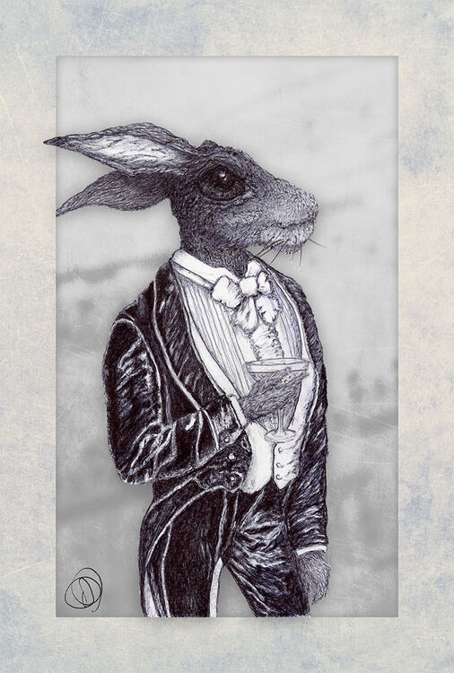 DARCY HARE