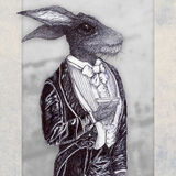 DARCY HARE
