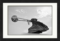 Harness The World - £176