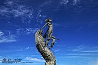 Day 138 - DSC 1254 copy