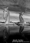 Day 150 - Kelpies Infrared