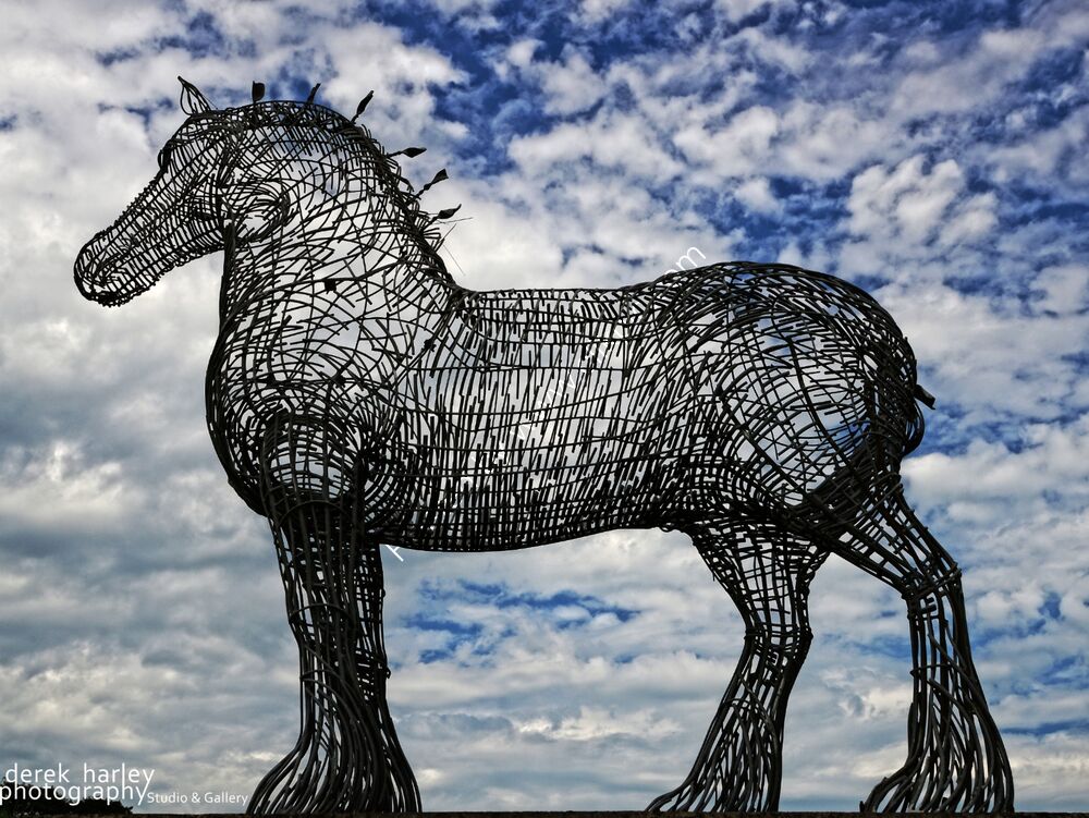 Day 192 - DSC 1396 copy