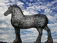 Day 192 - DSC 1396 copy