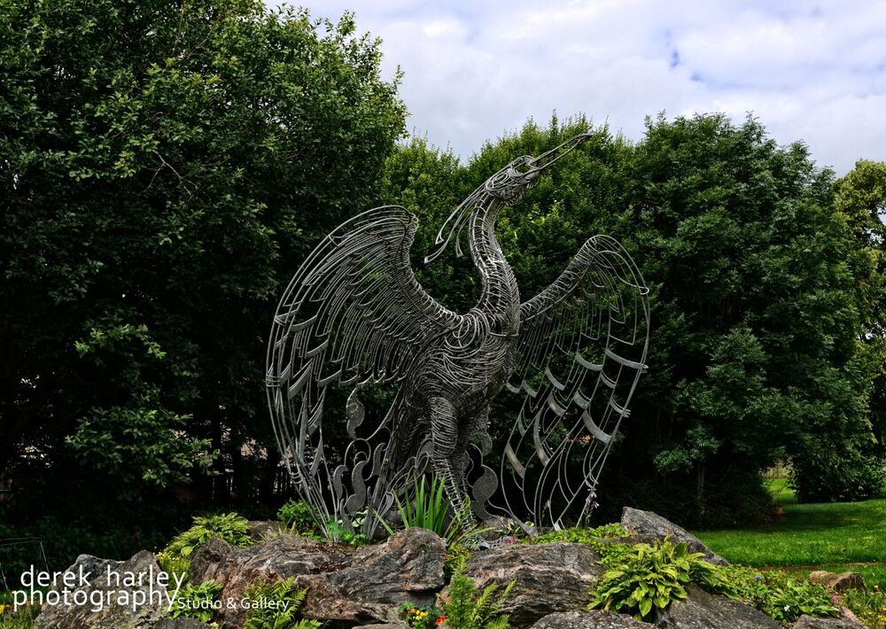 Day 199 - DSC 1431 copy