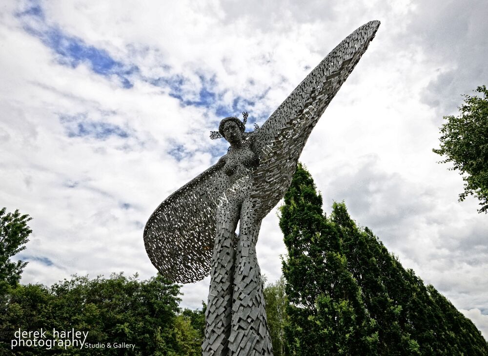 Day 200 - DSC 1461 copy