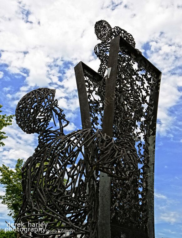 Day 202 - DSC 1366 copy