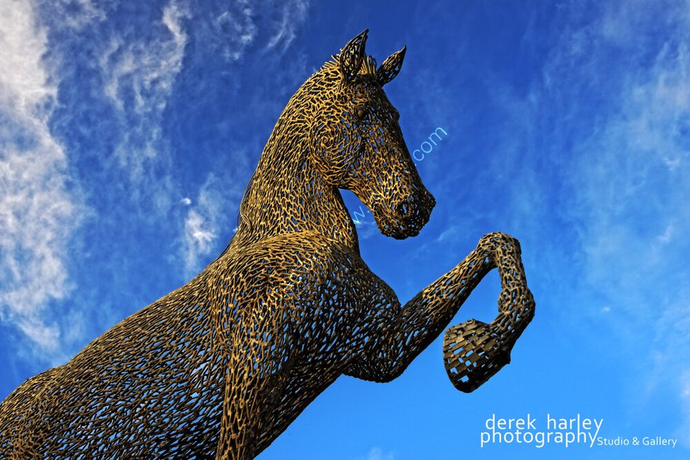 Day 33 - DSC 0411 copy