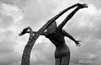 Day 43 - Arria 4 24 x 15