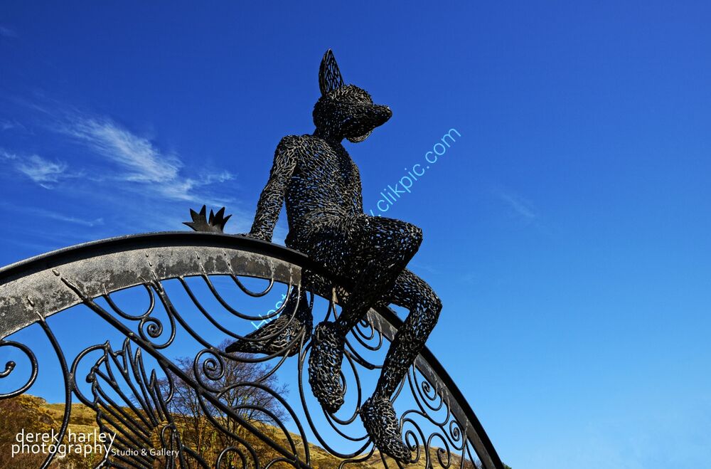 Day 91 - DSC 0779 copy