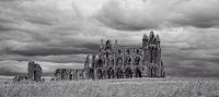 Whitby Abbey