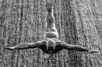 The Diver