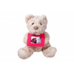 Soft Teddy with Felt Frame Classic - Pink