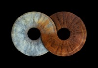 Iris Art Photography from £55