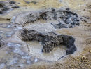 Hot Mud Pools