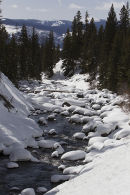 Winters Stream
