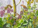 'Sparrows And Ivy' watercolour, unframed dimensions 16.5"x21"