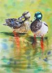 'A Moment To Reflect' watercolour, unframed dimensions 29"x21"