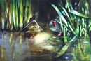 'Stepping Out' watercolour, unframed dimensions 14"x21"