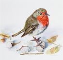 'Little Treasures' watercolour, unframed dimensions 9"x9"