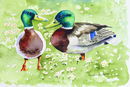 'Brothers', watercolour, unframed dimensions 5.5"x7.5"