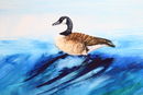 'Canada Goose On The Weir Bakewell' watercolour, unframed dimensions 5.5"x7.5"