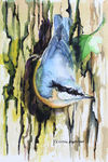 'Nuthatch' watercolour SOLD