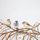 'It's Complicated' watercolour, unframed dimensions 16"x16"