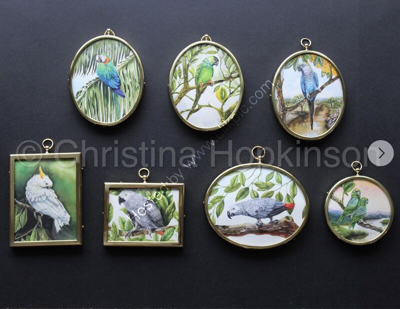 A collection of framed miniature watercolour paintings.