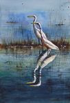 'Egrets Fishing In Lake Myakka Florida', watercolour, unframed dimensions 21"x14"
