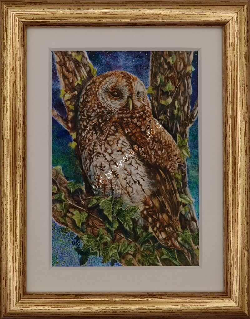 'Well Met by Starlight'