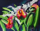 Orchids