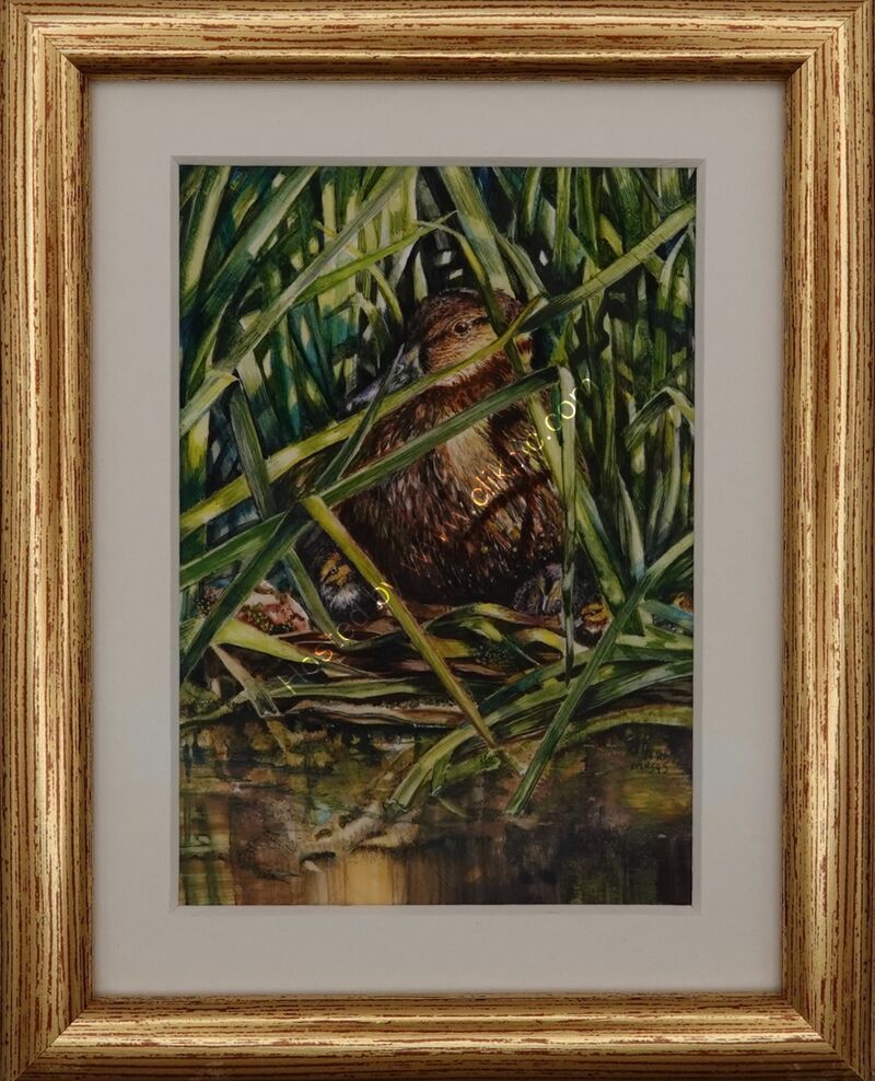 'Even in the Darkness there is Light'. Miniature Art Society of Florida 2026 exhibition. 2ND PLACE IN 'BIRDS'