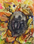 Nestled Safely - Inspired from a photograph by Hedgehog Friendly Town, and used with permission.