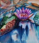 Waterlily- Longwood Gardens, Pennsylvania, USA