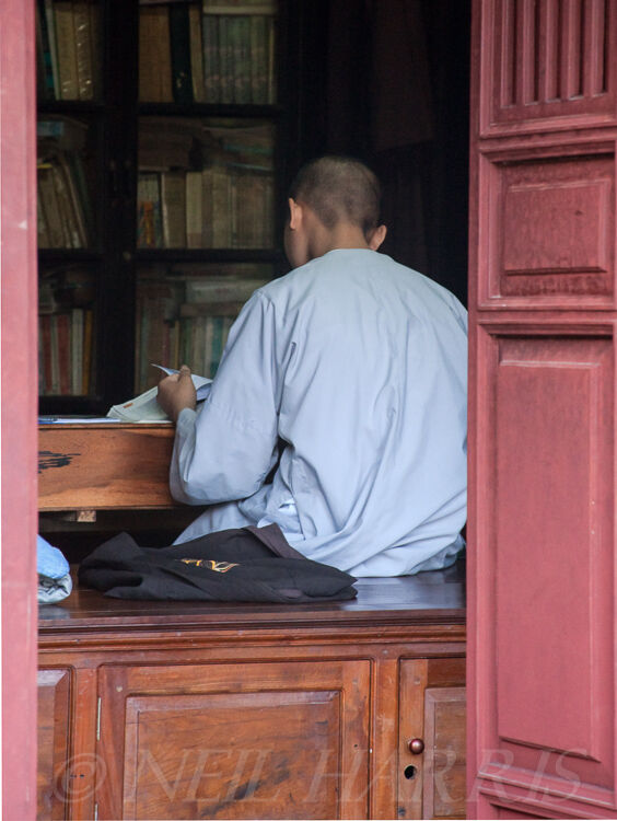 Vietnam - In the library