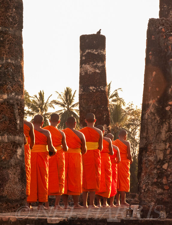 Thailand - Sukhothai saffron