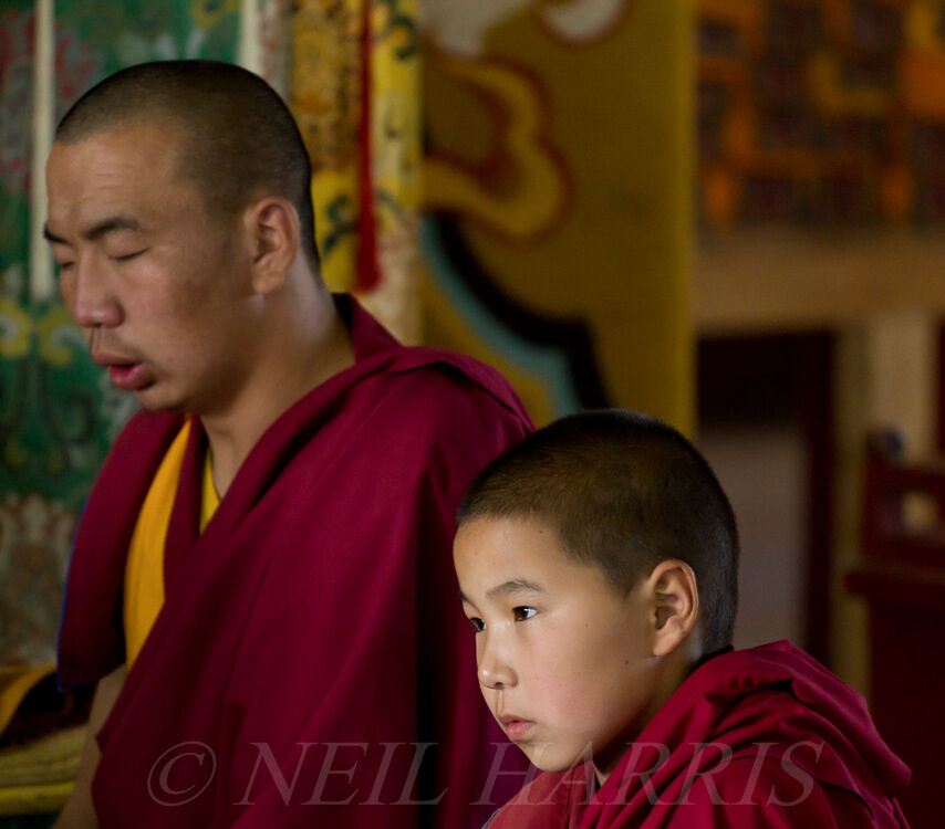 Mongolia - Novice monk