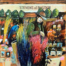 Stevens of Boston