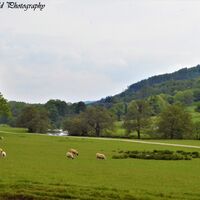 A landscape of the Peak District