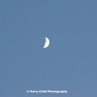 Afternoon Moon