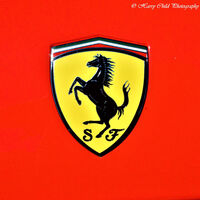 Ferrari Emblem