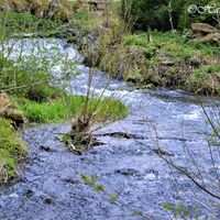 Flowing Cascade