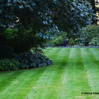 Gardenscape