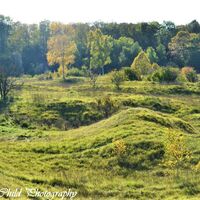 Hills and Hollows