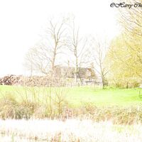 Idyllic Country Cottage