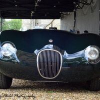 Jaguar C Type