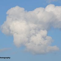 Summer Cloud
