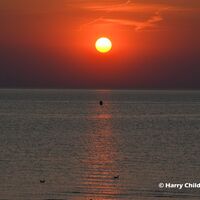 Summer Sunset